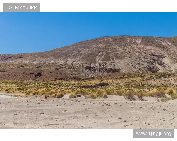 高原优势显著玻利维亚压制乌拉圭全场零射正惨败 高原优势显著玻利维亚压制乌拉圭全场零射正惨败
