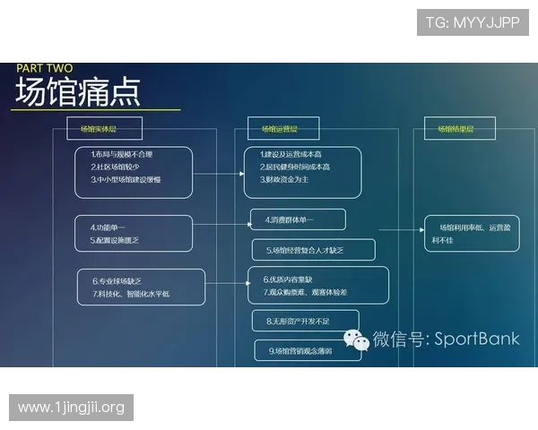 6T体育创新发展探索如何打造全新体育产业生态系统