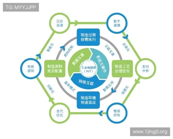 以8博为核心的数字娱乐生态发展与未来趋势深度解析报告与展望