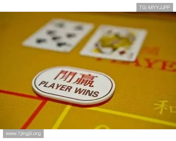 以澳博娱乐为中心的网络娱乐平台发展与风险解析及行业观察研究版 以澳博娱乐为中心的网络娱乐平台发展与风险解析及行业观察研究版